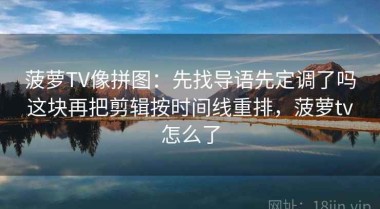 菠萝TV像拼图：先找导语先定调了吗这块再把剪辑按时间线重排，菠萝tv怎么了