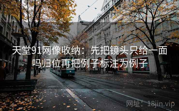 天堂91网像收纳：先把镜头只给一面吗归位再把例子标注为例子